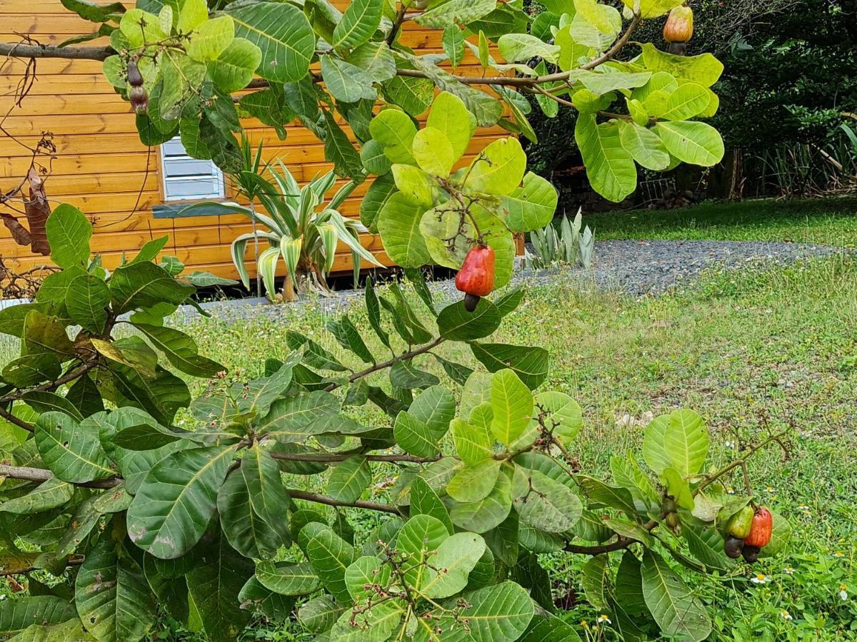 La Kaz Nature Bien-Etre Petit-Bourg Zewnętrze zdjęcie